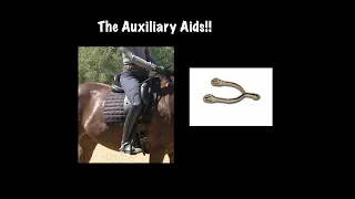 How to Properly use the Whip and Spur (The Auxiliary Aids)