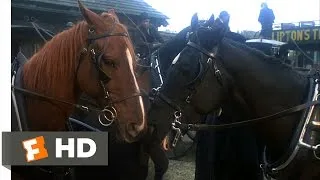 Black Beauty (1994) - My Precious Friend Scene (9/10) | Movieclips