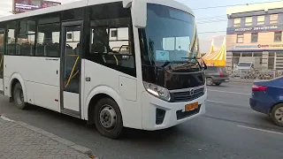 Автобус ПАЗ-3204 «Vector Next»