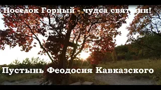 Тысячи паломников. Чудеса православной святыни. Пустынь Феодосия Кавказского.