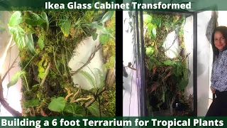 Ikea Greenhouse Cabinet 6 Foot Terrarium for Tropical Plants | The OG the 1st one ever built.