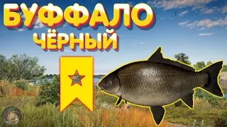 ТРОФ Буффало чёрный | р. Ахтуба | Русская Рыбалка 4