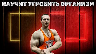 АЛЕКСЕЙ ШРЕДЕР УЧИТ КАК УГРОБИТЬ ЗДОРОВЬЕ РАЗОБЛАЧЕНИЕ