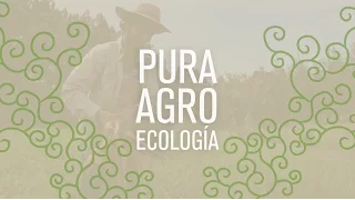 PURA AGROECOLOGÍA