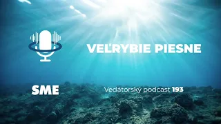 Vedátorský podcast 193 – Veľrybie piesne