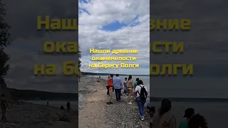 Нашли древние окаменелости на берегу Волги #тутумедиаразведка