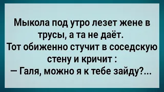 Как Обиженный Мыкола к Соседке Бегал! Сборник Свежих Анекдотов! Юмор!