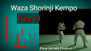 Shorinji Kempo Waza Kyu III Part (1/3)