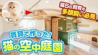 【ねこ物件】多頭飼い必見！ペット可賃貸住宅を猫とルームツアー