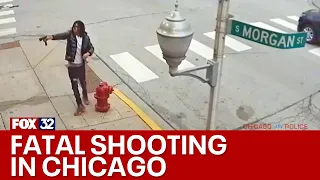 Video shows suspect fire shots at person in Chicago