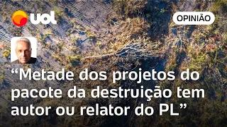 PL de Bolsonaro e PP de Lira comandam 'pacote da destruição' ambiental no Congresso | Toledo