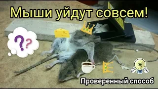 Мыши уйдут сами! The mice will leave by themselves.  Проверенный способ.