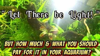 Let There Be (Aquarium) LIGHT! - What Kind of LED Should I Get & What is The Best Price I Can Find?