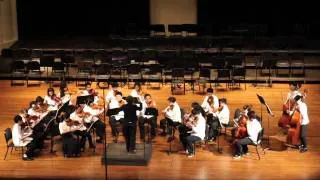 Finale from Overture to "William Tell" | Washington MS Intermediate Strings | 2011 HASTA