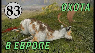 TheHunter Call of the Wild - ОХОТА В ЕВРОПЕ # 83