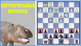 Hippopotamus Defense (Setup, Ideas, and Examples) - Chess Openings