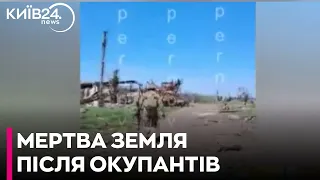 «Суцільні руїни»: боєць ЗСУ показав кадри звільненої Кліщіївки