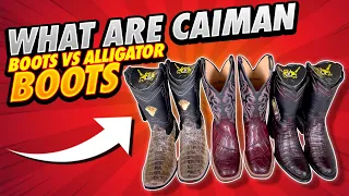 What Are Caiman Boots Vs Alligator Boots