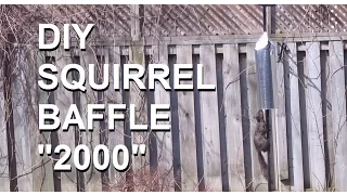 DIY Squirrel baffle: Simple and effective