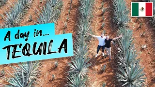 A Day in Tequila - Agave Fields, Tasting, Tequila Express & More (Mexico Vlog)