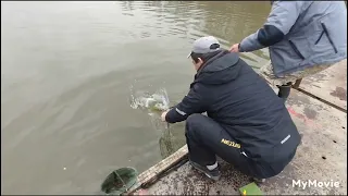 Смотреть Всем до конца, Красногорск