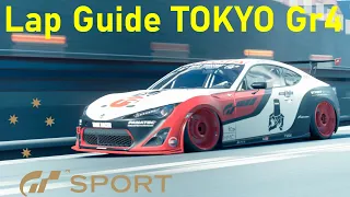 Tokyo Central Outer Loop // Qualifying Guide // GT Sport // Daily Race C