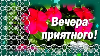 Добрый Вечер Хорошего Настроения! Пожелания Доброго Вечера! Красивое Пожелание с Добрым Вечером!