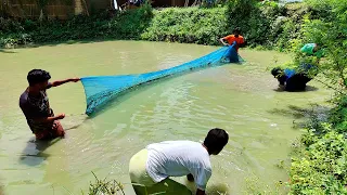 Amazing net fishing video - Best traditional net fishing video by village people (Part-36)