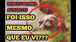 Criatura estranha passa correndo na mata