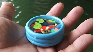 WORLD'S SMALLEST Pool FISH POND!