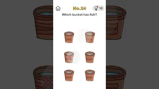 which bucket has fish? #brainout - level 24