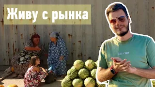 Можно ли жить трейдингом?