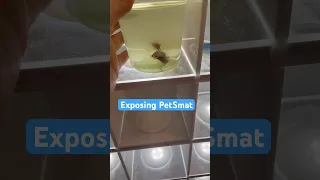 Exposing PetSmart | Save the Bettas ￼