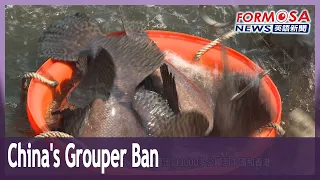 China’s ban on Taiwanese grouper takes effect