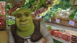 Shrek's Day Out (1 hour)