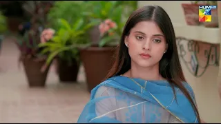 Kia Zohaib Ko Hadia Se Pyar Ho Gaya...?? #adnanrazamir #ameemasaleem - Tum Mere Kya Ho - HUM TV