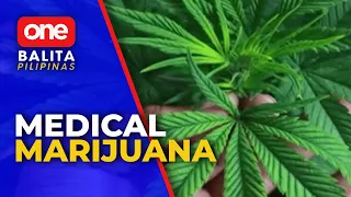 Pagsasa-legal ng medical cannabis, dininig na sa Senado