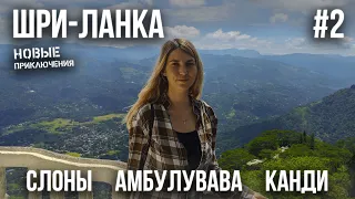 ШРИ-ЛАНКА 2023 #2. СЛОНЫ ПРЯМО В ОТЕЛЕ. ПИНАВЕЛЛА. БАШНЯ АМБУЛУВАВА. КАНДИ. БОТАНИЧЕСКИЙ САД. ХРАМ.