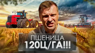 "Ермоловка" снова бьет рекорды‼️ Новый рекорд урожайности в России 🇷🇺  . Пшеница от @betaren_