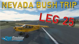 Microsoft Flight Simulator 2020 - Nevada Bush Trip - Leg 25