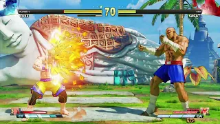 STREET FIGHTER V Luke vs Sagat