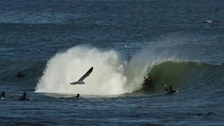 Storm Swell - Kalk Bay Reef