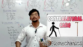 Contralateral cane | HIP BIOMECHANICS | PART-3