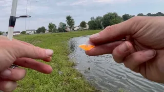 Hooked Into A Pond Monster While Bass Fishing!!!