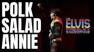 "Polk Salad Annie" THE ELVIS PRESLEY EXPERIENCE 1971 Starring Matt Stone