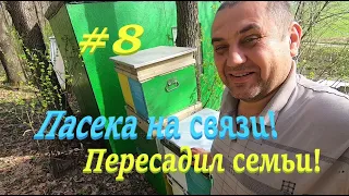 ✅ Будет ли майский мед! Пасека на связи! #ПЧЕЛОВОДСТВО8