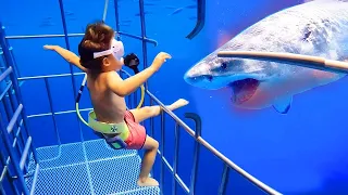 Kid falls into shark tank THEN..