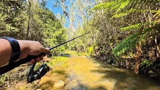 A Proper Trout Fishing Adventure, Fishing With Minnows / Small Crankbaits