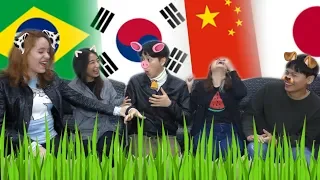 SOM DOS ANIMAIS NA COREIA, CHINA, JAPÃO E BRASIL 🇰🇷 🇨🇳 🇯🇵 🇧🇷