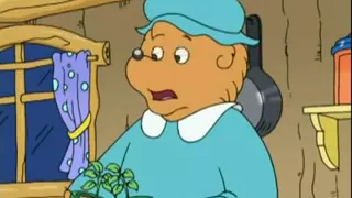 The Berenstain Bears   Don't Pollute Anymore (2-2)